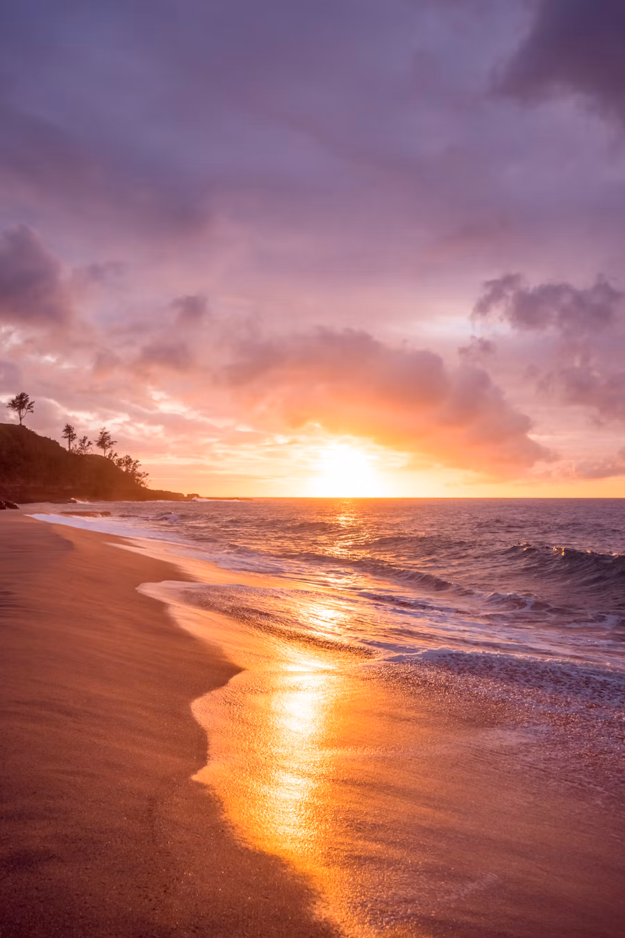 Beach Escapes